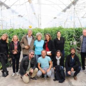 Periodistas alemanes viajan hasta Almería para conocer los métodos de producción en invernadero