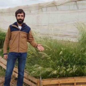 Culticonsejo: setos vegetales en el invernadero para el control biológico