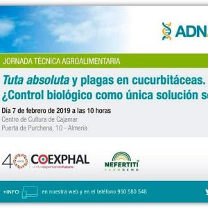 Jornada sobre tuta absoluta y plagas en cucurbitáceas