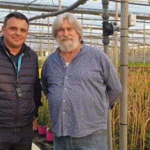 La planta ornamental también se apunta al control biológico