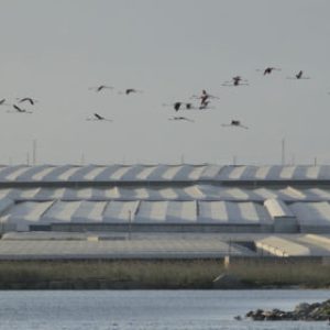 Almería, un modelo de agricultura sostenible