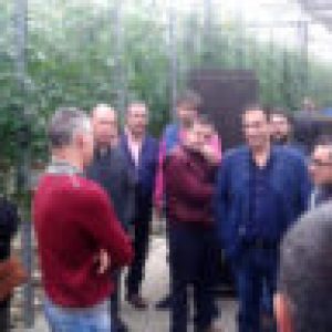 COEXPHAL muestra el modelo hortofrutícola de Almería a fruticultores de Extremadura