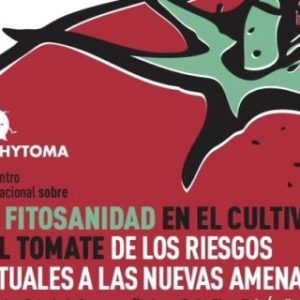 La fitosanidad en el cultivo del tomate a debate en Murcia